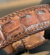 画像4: Crocodile Horn Back Leather Belt (Brown) (4)