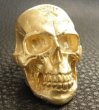 画像10: Gold Large Skull Ring With Jaw (Mat Color Finish) (10)