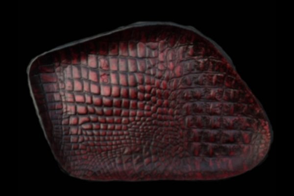 画像1: Gaboratory Alligator Textured Leather Gun Tray  [Red] (1)