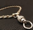 画像5: Medium Platinum Finish Lion With Quarter 10k Gold H.W.O & Anchor Chain Links Necklace (5)