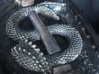 画像11: Coffin Leather Jewelry Box With Snake Bone (11)