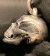 画像13: Large Skull Full Head Pendant (Early model) (13)