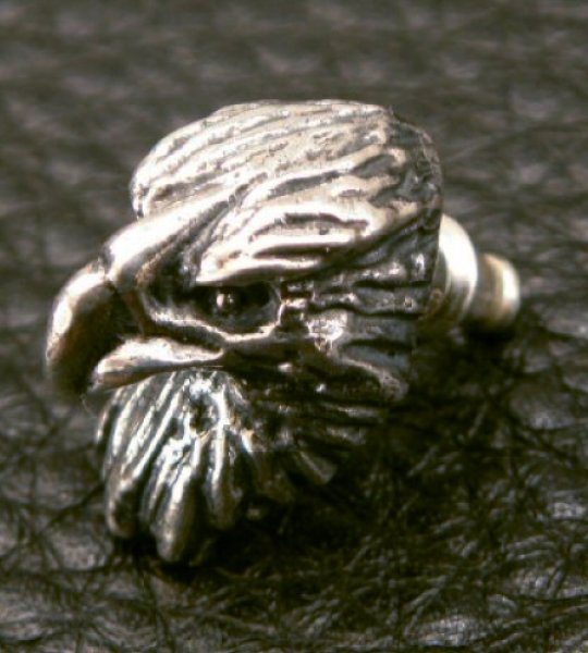 画像12: Quarter Eagle Pierce (12)