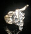 画像10: Buffalo Skull Ring (10)