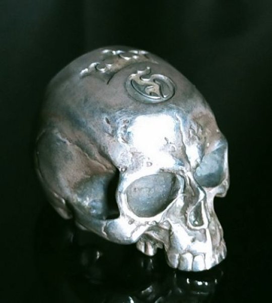 画像4: Large Skull Full Head Ring Without Jaw (4)