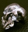 画像14: Medium Large Skull Full Head Ring (14)