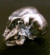 画像13: Medium Large Skull Full Head Ring (13)