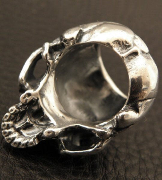 画像13: Medium Large Skull Full Head Ring Without Jaw (13)