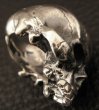 画像12: Medium Large Skull Full Head Ring Without Jaw (12)