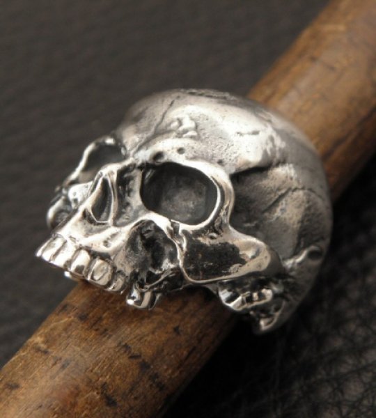 画像11: Medium Large Skull Full Head Ring Without Jaw (11)