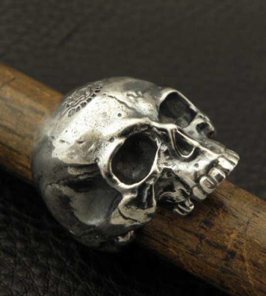 画像10: Medium Large Skull Full Head Ring Without Jaw (10)