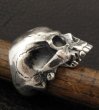 画像9: Medium Large Skull Full Head Ring Without Jaw (9)