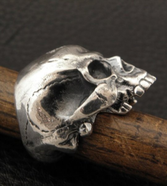 画像9: Medium Large Skull Full Head Ring Without Jaw (9)
