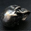 画像4: Master Old Large Skull Pen Stand (4)