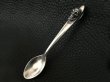 画像10: Skull on Tea Spoon (10)