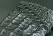 画像4: Crocodile Head & Horn Back Long Wallet(Black)※新入荷！現品限り即納 (4)
