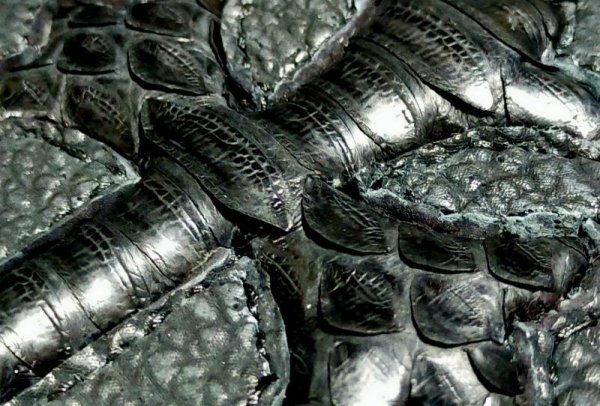 画像4: Python Cross Inlay Shark Long Wallet ※新入荷！現品限り即納 (4)