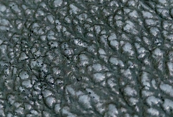 画像15: Python Cross Inlay Shark Long Wallet ※新入荷！現品限り即納 (15)