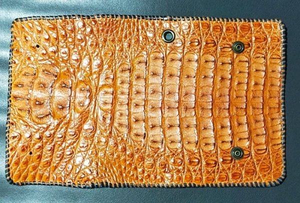 画像1: Crocodile Head & Horn Back Long Wallet  (Brown) ※新入荷！現品限り即納 (1)