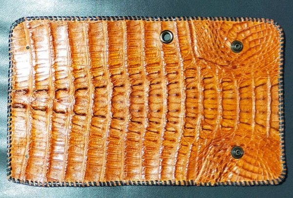 画像1: Crocodile Tail Long Wallet  (Brown) ※新入荷！現品限り即納 (1)