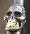 画像9: Xconz Collaboration 18k Gold Teeth Large Skull Ring 3rd generation (9)