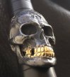 画像8: Xconz Collaboration 18k Gold Teeth Large Skull Ring 3rd generation (8)