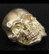 画像5: Xconz Collaboration Gold Double Face Medium Lage Skull Ring (5)