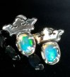 画像14: G&Crown Opal Pierce (14)