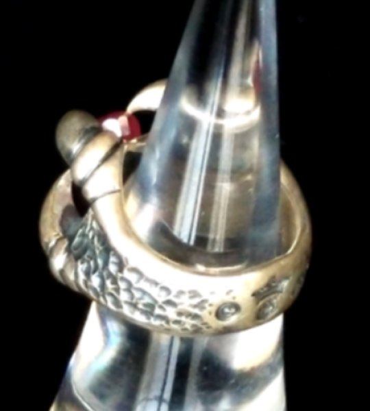 画像7: Ruby Medium Small Iron Predator Ring (7)