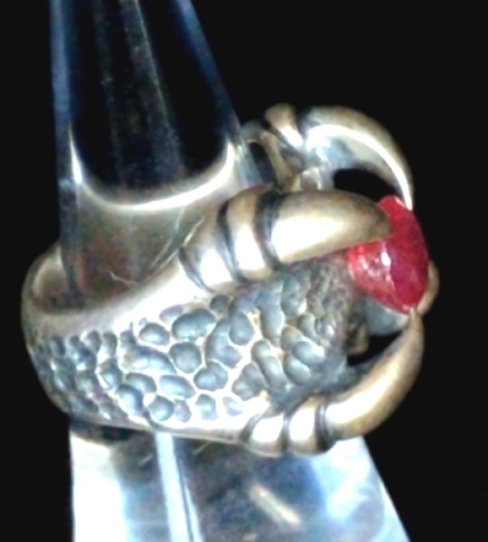 画像6: Ruby Medium Small Iron Predator Ring (6)