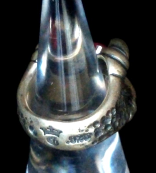 画像5: Ruby Medium Small Iron Predator Ring (5)