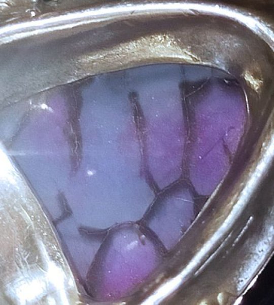 画像10: Agate Zaza Ring (10)