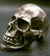 画像19: Large Skull With Jaw War Ring (19)